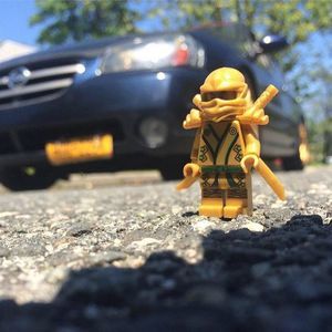 Meet your Posher, Joey